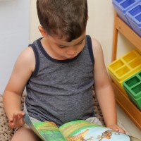 מעון פטל נעמת ביבנה