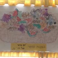 בפינת ספריית פיג'מה מציגים את סל הקניות של יו יו (מעון ויצו הגבעה הצרפתית, ירושלים)