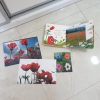 הכנה של הסטודנטיות לשבוע עבודה מעשי במעון גן ילדים בירושלים. פעילות בנושא פרחים בעקבות הספר מר סביון וגברת רקפת