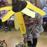 חרצית בשמלת זהב קייצית- המחזת שירי הספר מר סביון וגברת רקפת, מעון גן ילדים בירושלים