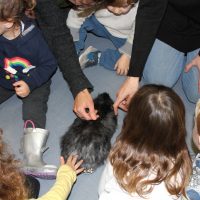 פעילות במעון נעמת חוני המעגל בתל אביב בעקבות הספר
