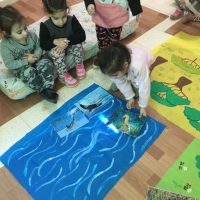 הזדמנות ללמוד על חיות וזנבן במעון נעמת פריבס ב